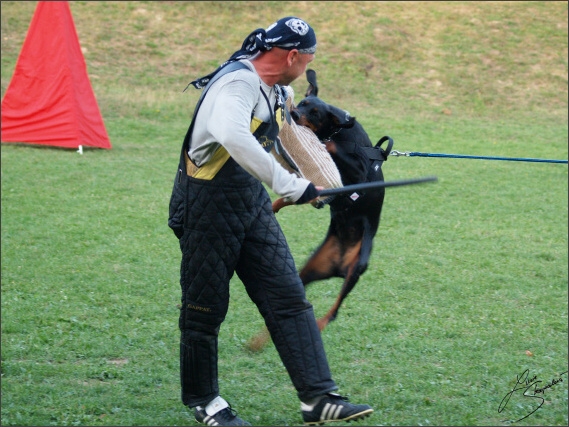 Summer training camp - Jelenec - 2007